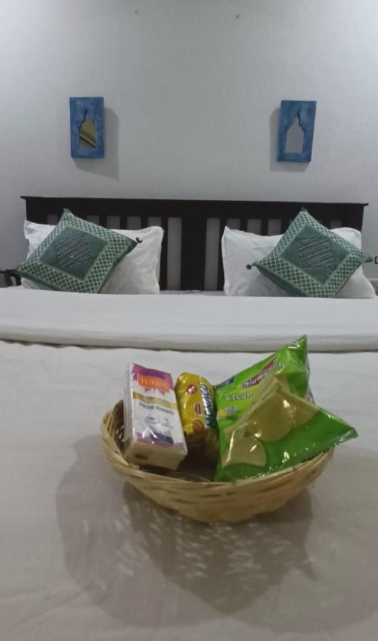 Thar View Hotel 斋沙默尔 外观 照片