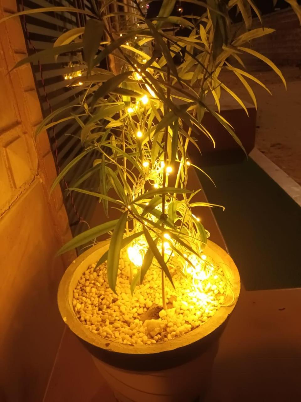 Thar View Hotel 斋沙默尔 外观 照片